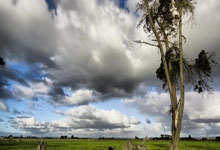 本赛季英超球员参与进球榜 萨拉赫第一哈兰德第二.