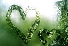 辽宁本钢战胜山东高速 取得常规赛第4名.