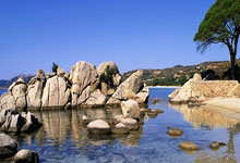 [CBA]常规赛12月23日：浙江VS广州 集锦.